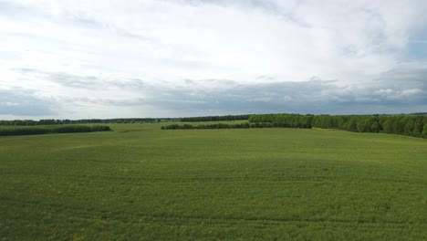 Schönes-Grünes-Offenes-Feld-Mit-Bäumen-Und-Einem-Dramatischen-Himmel-In-Südschweden-Skåne-österlen,-Luft-Vorwärts-Langsam