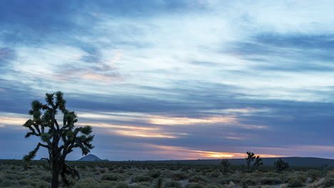 Peaceful-and-colorful-sunrise-over-the-Mojave-Desert-landscape-with-an-iconic-Joshua-tree-in-the-foreground---time-lapse