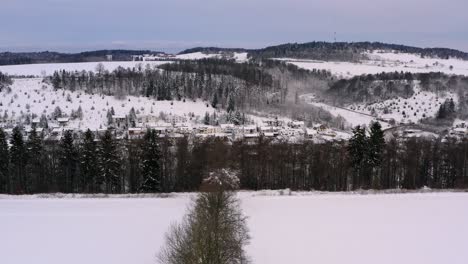 Winter-landscape,-pullback-back-flight-over-a-row-of-bare-trees-with-the-panoramic-view-over-a-city-in-a-white,-snow-covered-valley