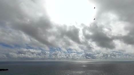 Birds-flying-through-a-cloudy-sky-on-the-british-coast