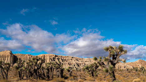 Erstaunliche-Topographie-Im-Red-Rock-Canyon-State-Park-Mit-Einer-Dramatischen-Wolkenlandschaft-über-Uns-Und-Joshua-bäumen-Im-Vordergrund---Zeitraffer