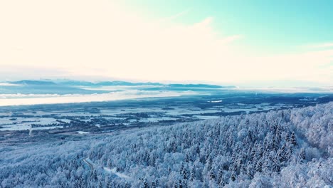 Stunning-drone-footage-over-a-snow-covered-forest