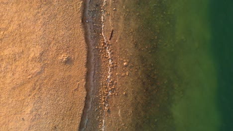 Luftaufnahme-Von-Oben-Nach-Unten,-Sandige-Wüstenküste-Mit-Klarem-Grünem-Wasser,-Vae