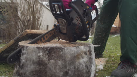 Cutting-a-frozen-log-with-a-chainsaw-by-female-woodworker