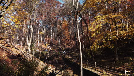 Fall-motion-time-lapse-looking-down-on-hikers-walking-the-trail-at-Glen-Stewart-Ravine,-Toronto