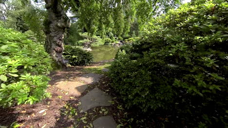 Steadicam-shot-moving-through-Japanese-garden-past-shrubs