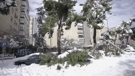 Tormenta-Filomena-Destrucción-Secuelas-Madrid-España