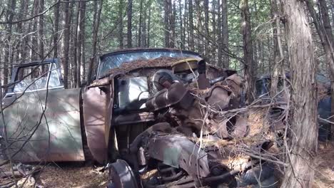 Slider-shot-of-abandoned-automobiles-in-forest