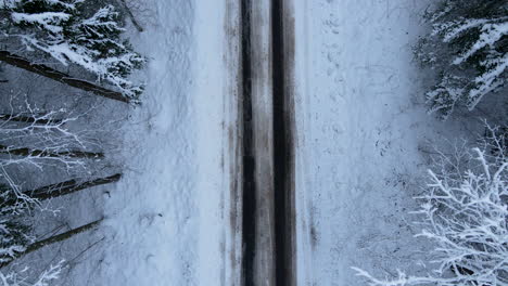 Aerial-Top-down-view,-the-drone-takes-off-from-countryside-road-showing-covered-with-deep-snow-coniferous-forest-trees