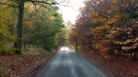 Hobro,-Dänemark---September-2020:-Bmw-In-Einer-Schönen-Blauen-Farbe-Vor-Einem-Hintergrund-Von-Orangenbäumen