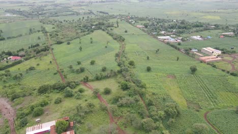 Vista-Panorámica-De-Los-Campos-Agrícolas-Verdes-En-Loitokitok,-Kenia---Toma-Aérea-De-Drones