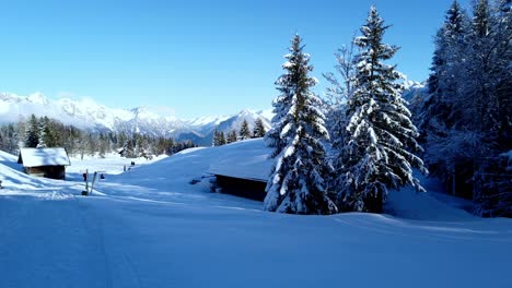 Campo-De-Nieve-Con-Pinos,-Cielo-Azul-Y-Gente-En-El-Fondo