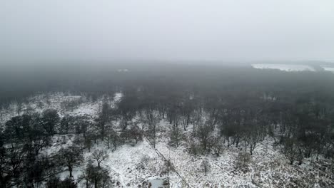 Epping-Wald-Im-Winter-Schneebedeckte-Gefrorene-Kahle-Bäume-Kleiner-Teich-Und-Grasreinigung-Luftbild-4k