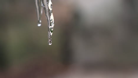 Handheld-sot-of-melting-ice,-water-drops-falling-down-spring,-global-worming-concept