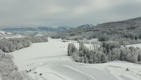 Antena-De-Sereno-Paisaje-Invernal-Cubierto-De-Nieve