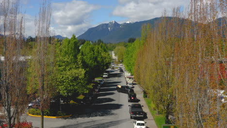 Aerial-view-traveling-along-a-tree-lined-street-in-an-idyllic-mountainside-community