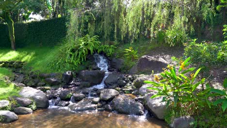 Schöner-Künstlicher-Wasserfall-Im-Ruhigen-Tropischen-Garten