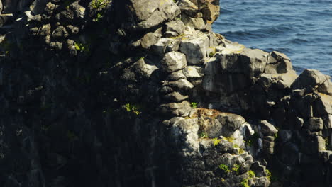 Closeup-of-Hvitserkur-basalt-rock-formation-detail-in-northwest-Iceland