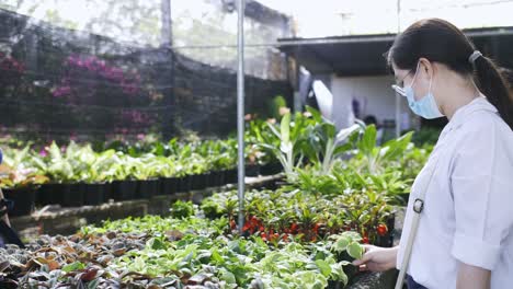 A-masked-asian-woman-examines-a-small-potted-plant-in-bright-sunlight-at-a-garden-center-nursery