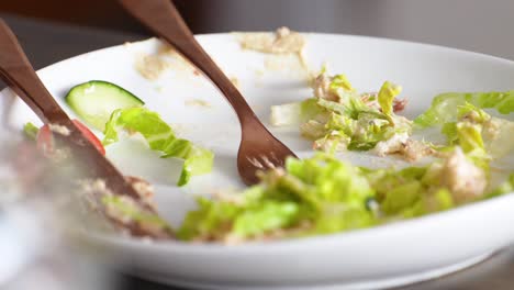 Comer-Ensalada-Verde-Saludable-En-Un-Plato-Con-Tenedor-Caro-Y-Cuchillo-De-Mesa
