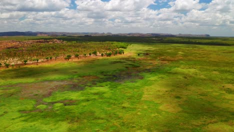 Bright-green-landscape-of-Kakadu,-Australia--Aerial