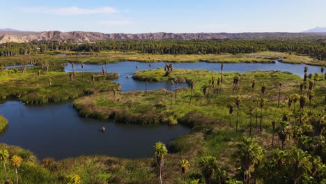 Aerial:-tropical-lagoon-oasis-in-Mexico-desert,-4K-drone-landscape