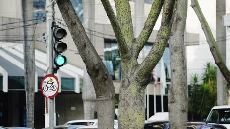 Street-of-a-big-city-displaying-a-bike-lane-sign-and-a-green-traffic-light-beside-a-greenish-tree-with-cars-stopped-in-the-background