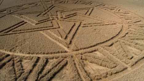 West-Meon-countryside-meadow-complex-geometric-star-crop-circle-aerial-view-closeup-orbit-right