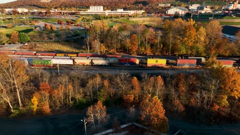 Vagones-De-Contenedores-De-Ferrocarril-Retrasados-En-La-Vía