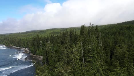 4k-aerial-footage-of-Sombrio-beach-on-Vancouver-Island's-wild-and-untouched-west-coast