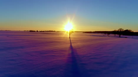 Tree-throws-long-shadow-over-smooth-snow-landscape-at-sunset