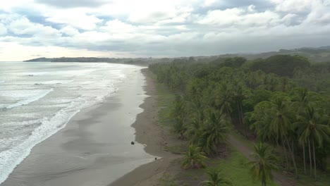Aerial-shot-of-a-beautiful-tropical-beach-with-palm-trees-and-no-people