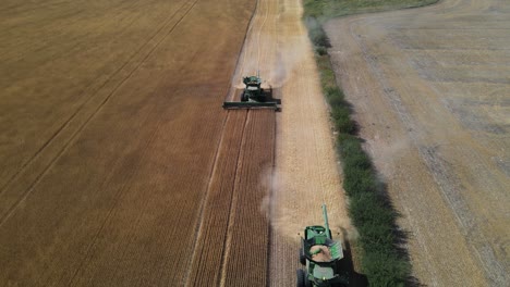 Two-large-combine-harvesters-harvesting-wheat-along-the-edge-of-a-large-crop-on-a-farm