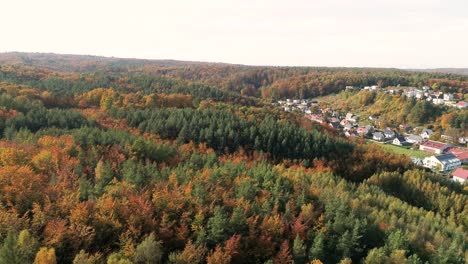 Anwesen-Von-Einfamilienhäusern,-Umgeben-Von-Einem-Wunderschönen-Herbstwald-In-Mitteleuropa