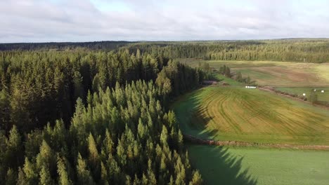 Beautiful-aerial-shot-flying-over-an-evergreen-forest-in-Finland-national-park