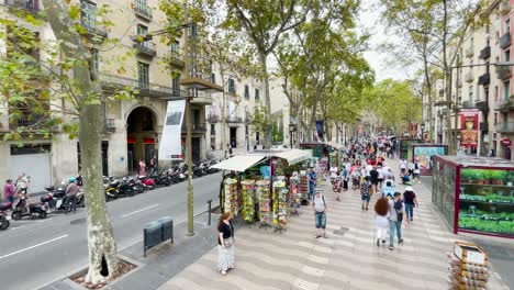 Camine-Por-El-Centro-De-Barcelona-Con-Un-Cardán-Caminando-Hacia-Adelante-Por-El-Camino-Peatonal