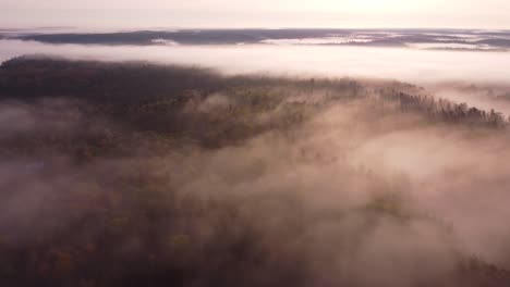 Flying-over-trees,-bush,-and-lake-during-sunrise-on-a-foggy-and-sunny-fall-morning