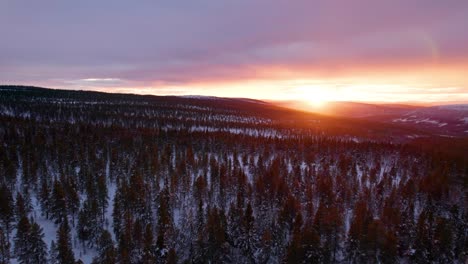 Gliding-over-a-winter-forest-landscape-in-a-burning-sunset