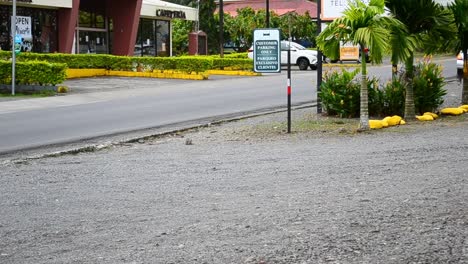 Multiple-vehicles-driving-along-main-street-through-La-Fortuna-in-Costa-Rica