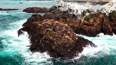 Große-Gruppe-Von-Robben,-Die-Auf-Dem-Großen-Felsen-Am-Monterey-Beach-Schlafen