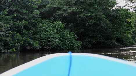 POV-footage-of-boat-ride-through-the-thick-jungle-of-central-America