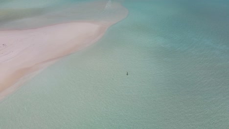 A-lonely-vkula-swims-off-the-coast-of-the-Maldivian-island-in-turquoise-water-against-the-backdrop-of-white-sand