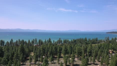 Bosque-De-Pinos-Reveló-Sereno-Lago-De-Agua-Dulce-De-Tahoe-En-California,-Estados-Unidos