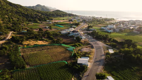 Beautiful-seaside-town-Thai-An-in-Vietnam-with-vineyards-and-grape-growing-land,-aerial-fly-over-view