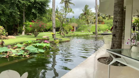 Hotelpersonal-Füttert-Vögel-Im-Jivana-Resort-Kuta-Lombok