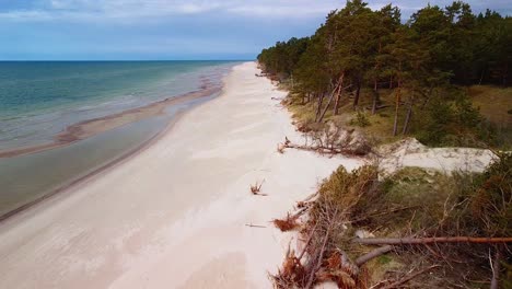 Aerial-view-of-Baltic-sea-coast-on-a-sunny-day,-steep-seashore-dunes-damaged-by-waves,-broken-pine-trees,-coastal-erosion,-climate-changes,-wide-angle-drone-shot-moving-forward,-camera-tilt-down