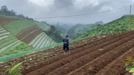 Farmers-are-hoeing-in-the-fields-to-plant-leeks-in-the-hills-of-Mount-Sumbing,-Indonesia