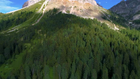 Lush-green-alpine-woodland-forest-at-base-of-South-Tyrol-Plose-Peitlerkofel-sunny-mountain-valley-slope