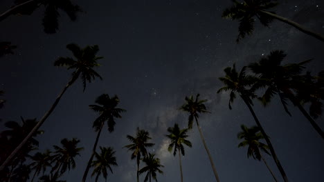 Wunderschöner-Milchstraßen-Zeitraffer-über-Palmen,-Die-Sich-Gegen-Den-Nachthimmel-Abheben