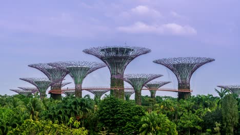 Gente-Caminando-En-Skywalk,-Supertree-Grove-En-Jardines-Junto-A-La-Bahía,-Hermoso-Cielo-Azul